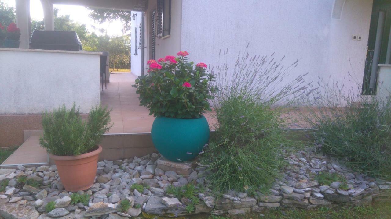 פורץ Apartmani Bauk מראה חיצוני תמונה